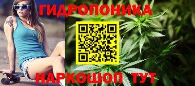 мяу мяу мука Заводоуковск