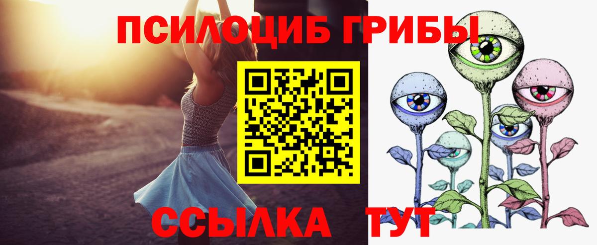 Псилоцибиновые грибы мицелий  Вход с VPN  Кунгур 